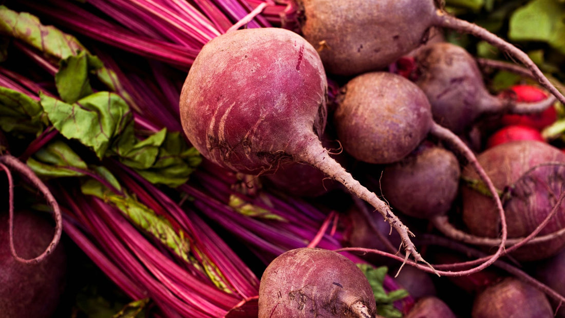 CULTIVO Y ORIGEN DE LA REMOLACHA